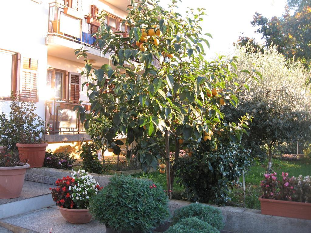 Apartments Adelita Poreč Exterior foto